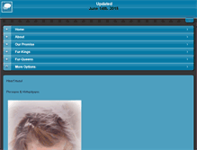 Tablet Screenshot of heartnsoulpersians.com